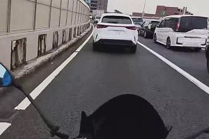 08時15分 ごろ