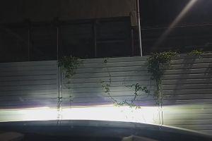 01時50分 ごろ