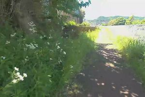 11時45分 ごろ