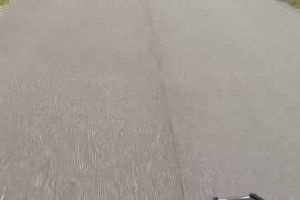 10時45分 ごろ