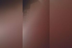 19時25分 ごろ