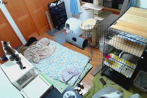 22時20分 ごろ