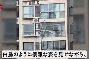 12時40分 ごろ