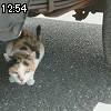 12時50分 ごろ