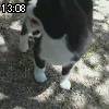 13時05分 ごろ