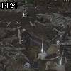 14時20分 ごろ