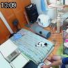 13時05分 ごろ