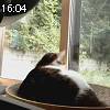 16時00分 ごろ