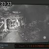 23時30分 ごろ