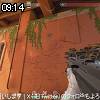 09時10分 ごろ