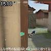 15時15分 ごろ