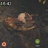 16時40分 ごろ
