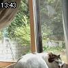 13時40分 ごろ