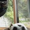 14時30分 ごろ
