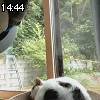 14時40分 ごろ
