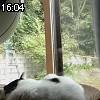 16時00分 ごろ