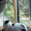 17時20分 ごろ
