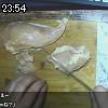23時50分 ごろ