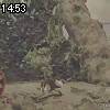 14時50分 ごろ