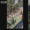 20時05分 ごろ
