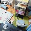00時45分 ごろ