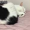 21時15分 ごろ