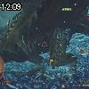 12時05分 ごろ