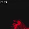 02時25分 ごろ