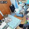 05時20分 ごろ
