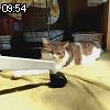 09時50分 ごろ