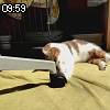 09時55分 ごろ