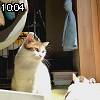 10時00分 ごろ