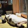 10時10分 ごろ