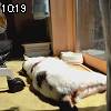 10時15分 ごろ