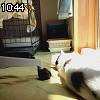 10時40分 ごろ