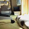 10時45分 ごろ
