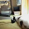 10時50分 ごろ