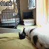 11時00分 ごろ