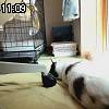 11時05分 ごろ