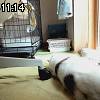 11時10分 ごろ