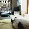 11時15分 ごろ