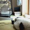 11時20分 ごろ