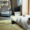11時35分 ごろ