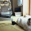 11時40分 ごろ