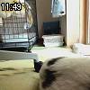 11時45分 ごろ