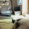 11時50分 ごろ