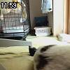 11時55分 ごろ
