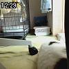 12時25分 ごろ