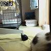 12時30分 ごろ