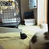 12時35分 ごろ